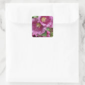 Roze hollyhock vierkante sticker (Tas)