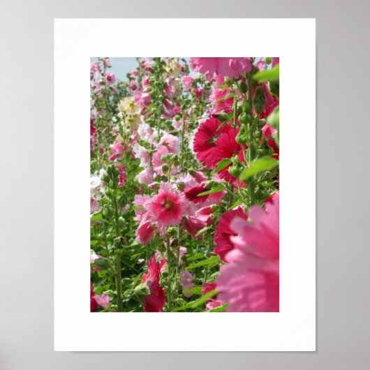 Roze Hollyhocks: Japan Poster (Voorkant)