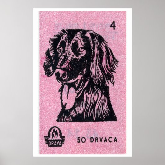 Roze hond - Matchbox Print - Esthetische wandkunst (Voorkant)