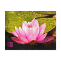 Roze horizontale Briefkaart Lotus
