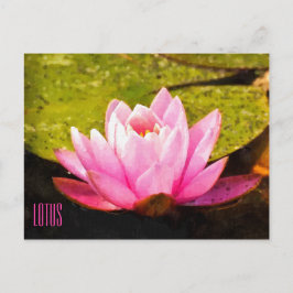 Roze horizontale Briefkaart Lotus