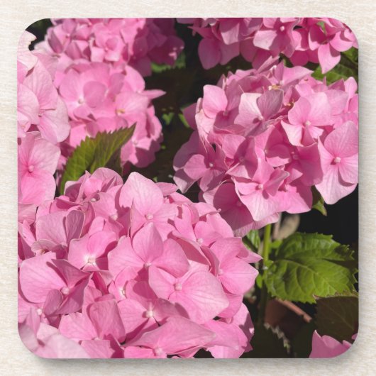 Roze Hortensia Bier Onderzetter (Voorkant)