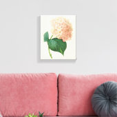Roze Hortensia Bloem door Redoute Canvas Afdruk (Insitu (Woonkamer))