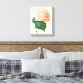 Roze Hortensia Bloem door Redoute Canvas Afdruk (Insitu (Slaapkamer))