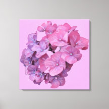  roze hortensia bloem modern floral minimal