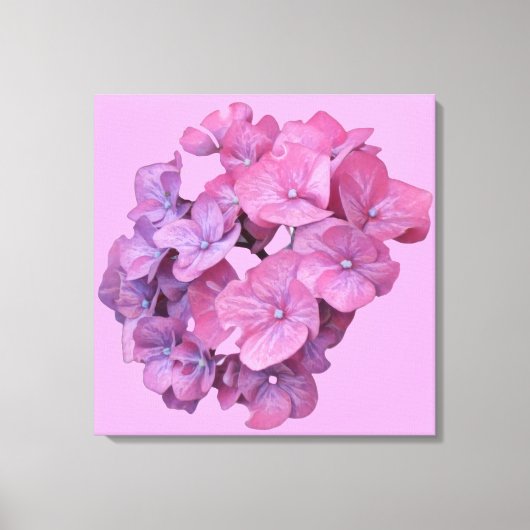 roze hortensia bloem modern floral minimal canvas afdruk (Voorkant)