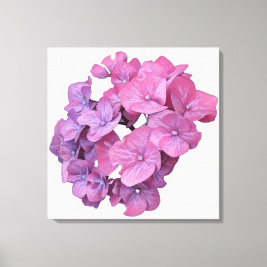  roze hortensia bloem modern floral minimal canvas afdruk (Voorkant)
