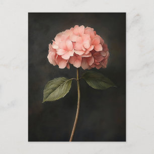 Roze hortensia botanische schilderij briefkaart
