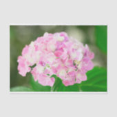 Roze Hortensia in de zomer Tissuepapier (Voorkant)