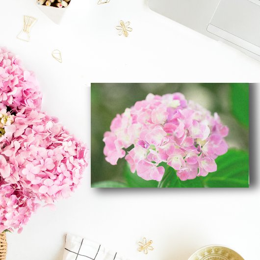Roze Hortensia in de zomer Tissuepapier