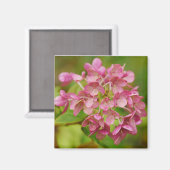 Roze hortensia magneet (Voorkant / Achterkant)