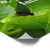 Roze Hortensia met Schriftuur Poster (Hoek)