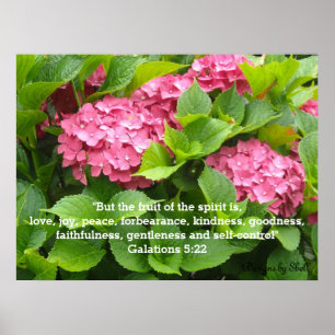Roze Hortensia met Schriftuur Poster