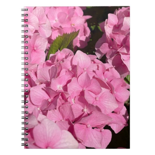 Roze Hortensia Notitieboek (Voorkant)