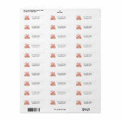Roze huis van peperkoek Kerst retouradres Etiket (Full Sheet)