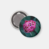Roze humeurige tulp magneet (Voorkant / Achterkant)