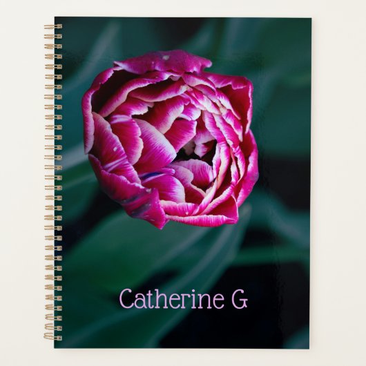 Roze humeurige tulp planner (Voorkant)