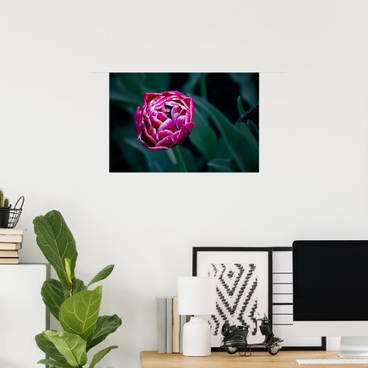 Roze humeurige tulp poster (Thuiskantoor)