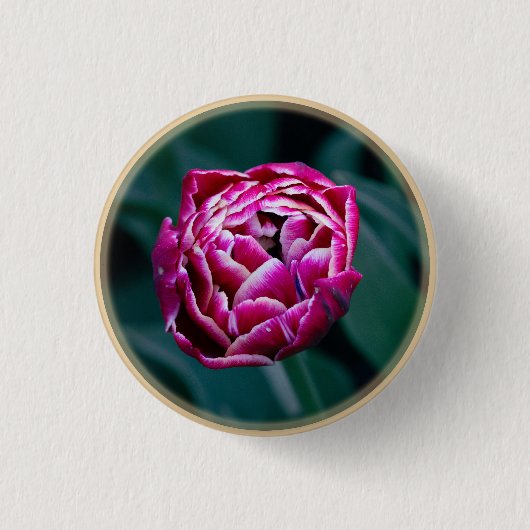 Roze humeurige tulp ronde button 3,2 cm (Voorkant)