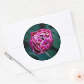 Roze humeurige tulp ronde sticker (Envelop)