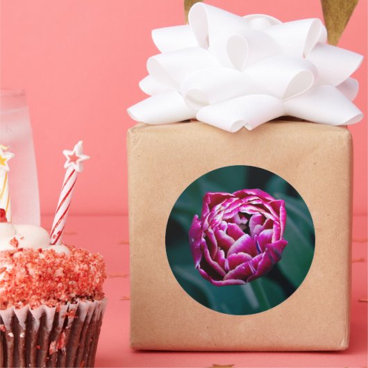 Roze humeurige tulp ronde sticker (Feest)