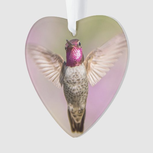 Roze Hummingbird Monogram Naam Ornament (voorkant)