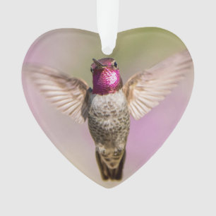 Roze Hummingbird Monogram Naam Ornament