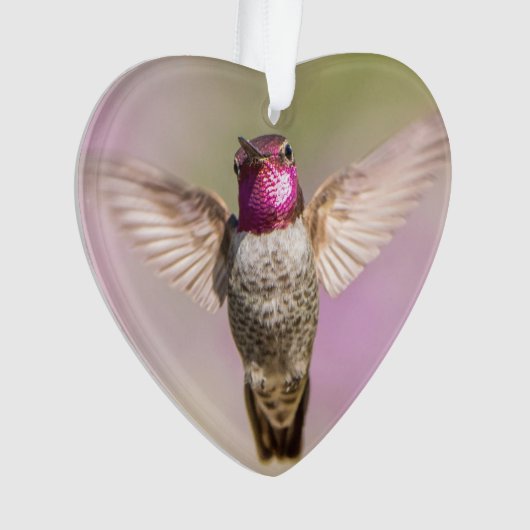 Roze Hummingbird Monogram Naam Ornament (voorkant)
