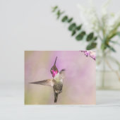 Roze Hummingbird Posing in Flight Briefkaart (Staand voorkant)