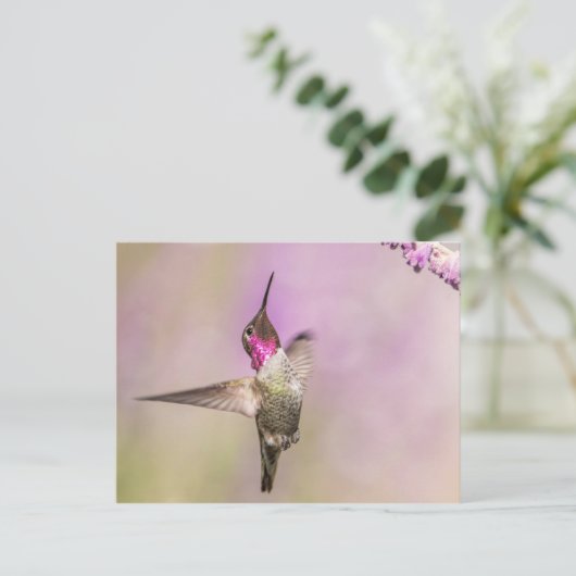 Roze Hummingbird Posing in Flight Briefkaart (Staand voorkant)