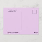 Roze Hummingbird Posing in Flight Briefkaart (Achterkant)
