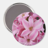 roze hyacineuze bloem magneet (Voorkant / Achterkant)