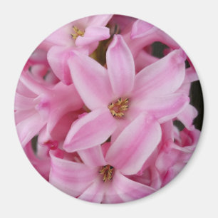 roze hyacineuze bloem magneet