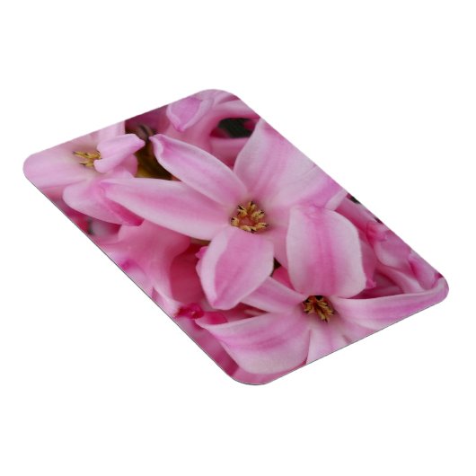 roze hyacineuze bloem magneet (Rechterzijde)