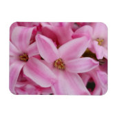 roze hyacineuze bloem magneet (Horizontaal)