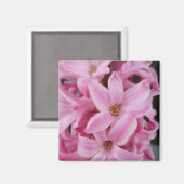 roze hyacineuze bloem magneet (Voorkant / Achterkant)