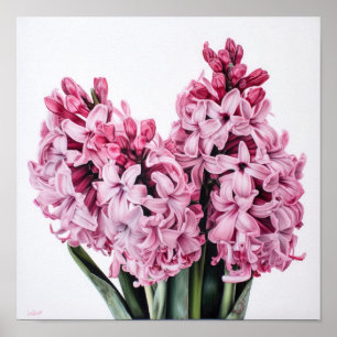 Roze Hyacint Bloem Kunstprint Poster