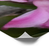 Roze Hyacint Bloemen Foto Poster (Hoek)
