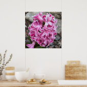 Roze Hyacint Bloemen Foto Poster (Keuken)