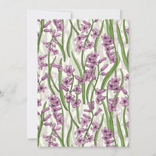 Roze Hyacint bloemen op natuurlijk wit (Voorkant)