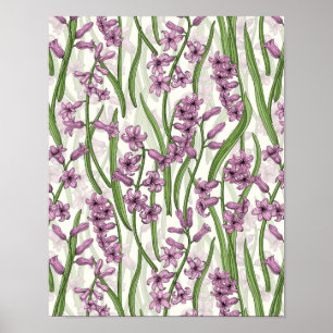 Roze Hyacint bloemen op natuurlijk wit Poster