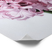Roze Hyacint Bloemenkunst Print Poster (Hoek)