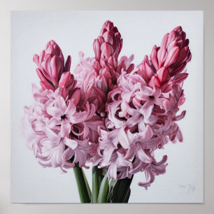 Roze Hyacint Bloemenkunst Print Poster