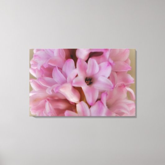 roze Hyacint Spring Flower Canvas Art Afdruk (Voorkant)