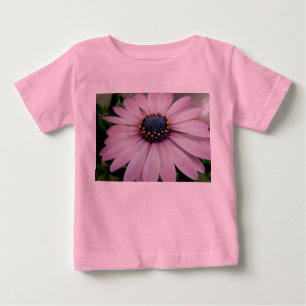 Roze Hybrid Daisy Baby