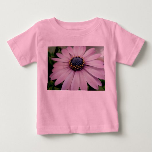 Roze Hybrid Daisy Baby (Voorkant)