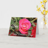 ROZE HYBRIDE ROOS GELUKKIGE VALENTIJN DAG MOEDER KAART (Gele Bloem)