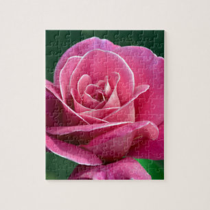 Roze hybride theethee Roos Legpuzzel