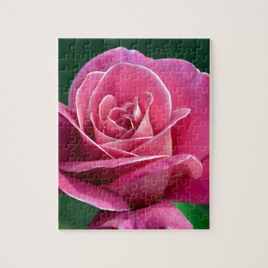 Roze hybride theethee Roos Legpuzzel (Verticaal)