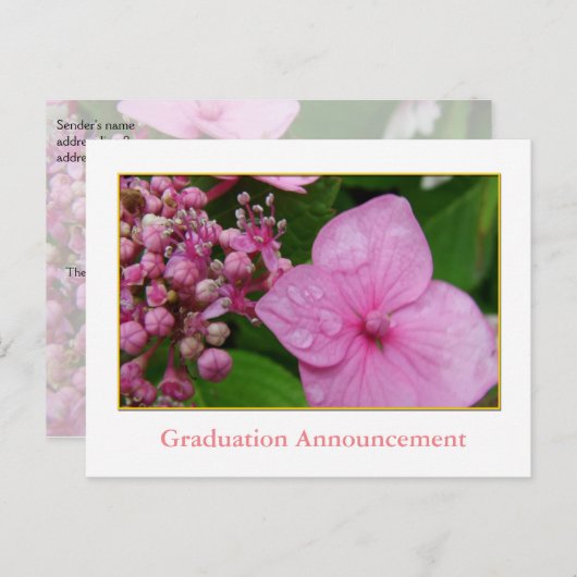 Roze hydrangea afstuderen van een bloemmeisje aankondigingskaart (Voorkant / Achterkant)